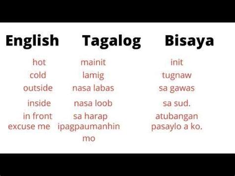 torjak bisaya meaning